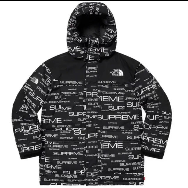 Supreme North Face Coldworks Down Parka