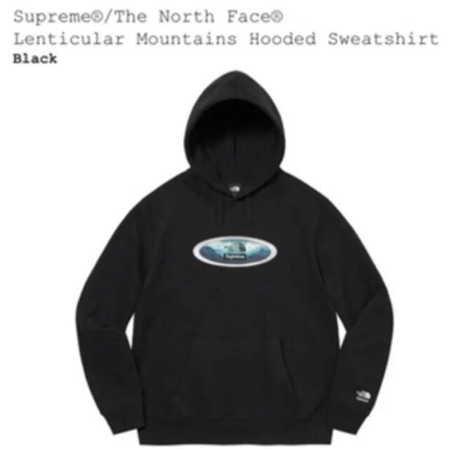 Supreme North Face Lenticular Hooded M - パーカー