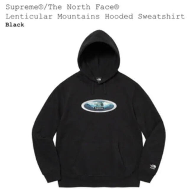 Supreme North Face Lenticular Hooded XL