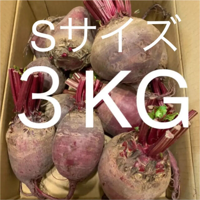 無農薬 ビーツ 3kg 北海道 江別産 Sサイズ 食品/飲料/酒の食品(野菜)の商品写真