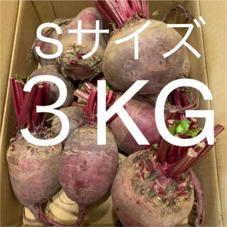 無農薬 ビーツ 3kg 北海道 江別産 Sサイズ(野菜)