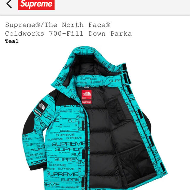 Supreme(シュプリーム)のsupreme TheNorthFace 700fill down parka メンズのジャケット/アウター(ダウンジャケット)の商品写真