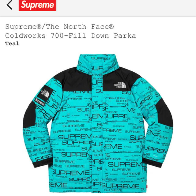 Supreme(シュプリーム)のsupreme TheNorthFace 700fill down parka メンズのジャケット/アウター(ダウンジャケット)の商品写真