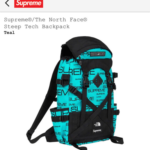 supreme north face steeptech backpack