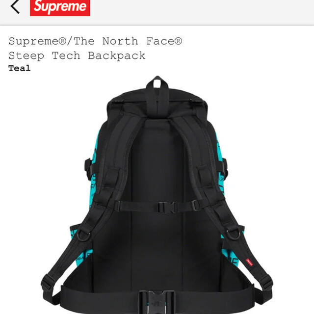 supreme north face steeptech backpack