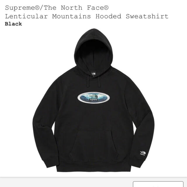 Supreme The North Face Hooded