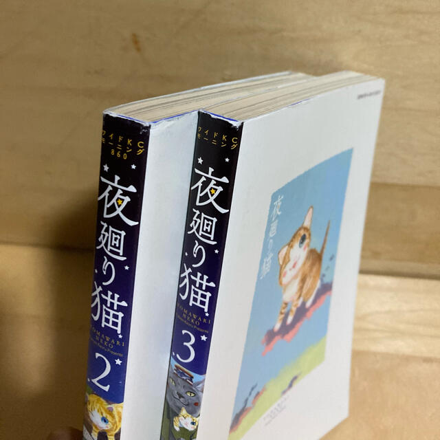 講談社(コウダンシャ)の夜廻り猫 2、3巻セット　深谷かほる エンタメ/ホビーの漫画(4コマ漫画)の商品写真