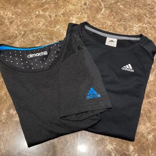 アディダス(adidas)のadidas Tシャツ(ウェア)