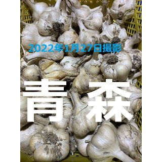 青森県産にんにく５ｋｇ ２Ｌ ニンニク５キロ 福地ホワイト６片種 訳あり①(野菜)