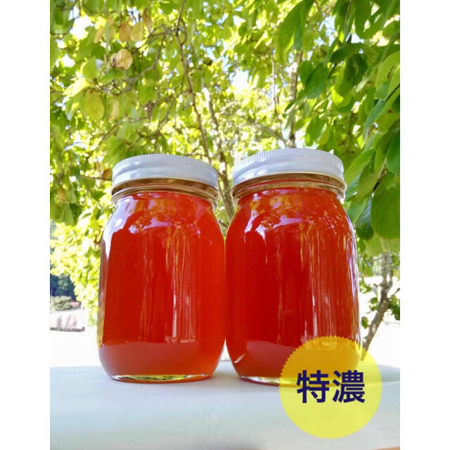 ☆特濃☆日本蜜蜂2年物秋採れはちみつ(600gを2本) ☆特濃☆日本蜜蜂2年物秋採れはちみつ(600gを2本)
