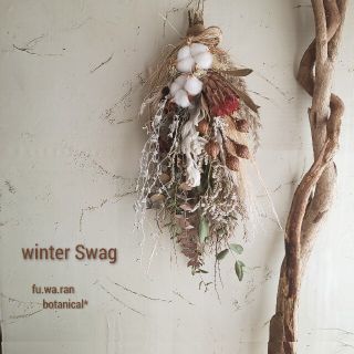 専用＊winter swag  プロテア&コットン  ドライフラワースワ(ドライフラワー)