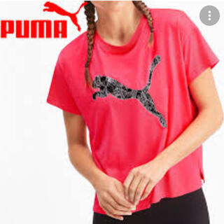 プーマ(PUMA)のPUMAプーマ　Tシャツ ランニング(Tシャツ(半袖/袖なし))