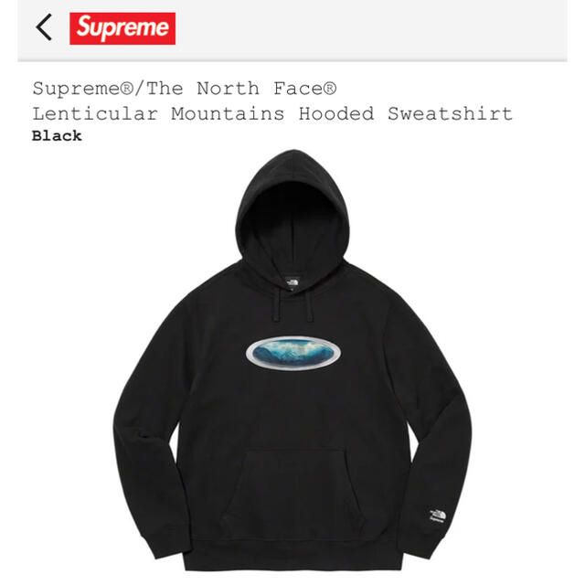 Supreme The North Face Hooded Sweatshirt