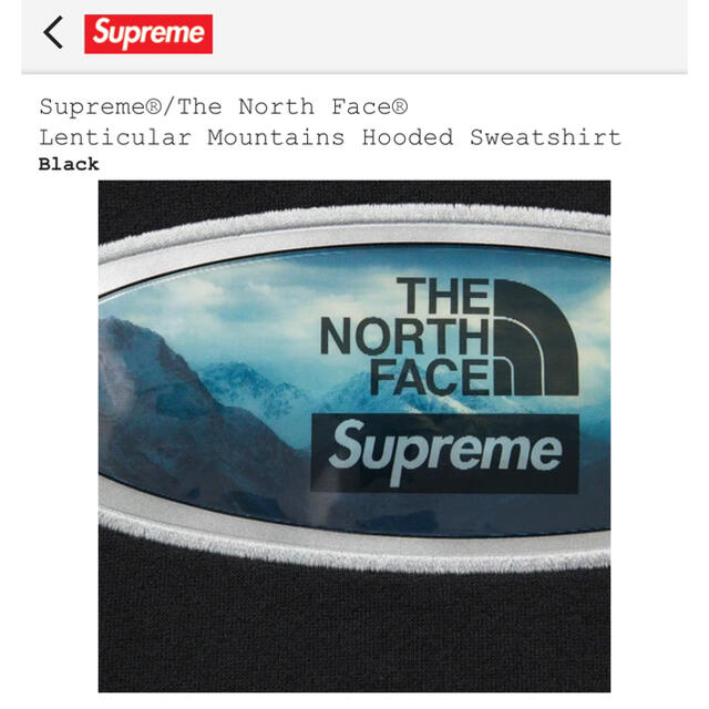 Supreme(シュプリーム)のSupreme The North Face Hooded Sweatshirt メンズのトップス(パーカー)の商品写真