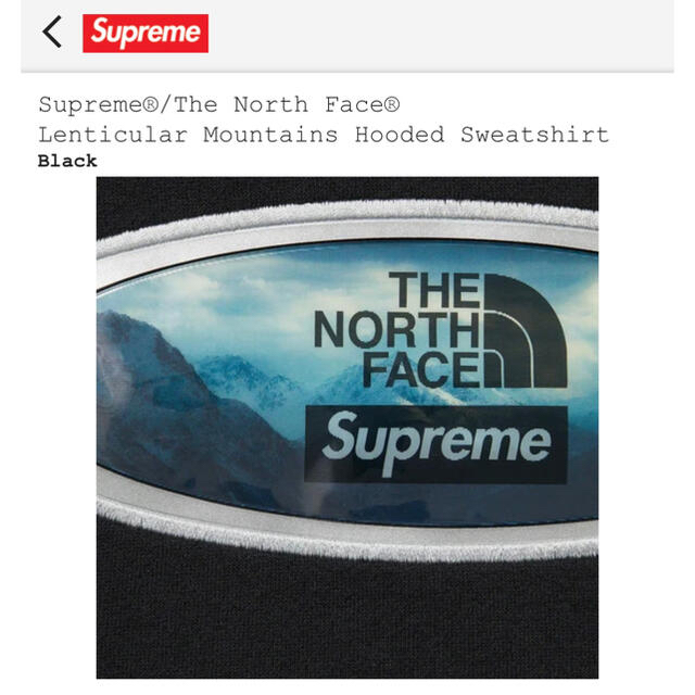 Supreme The North Face Hooded Sweatshirt