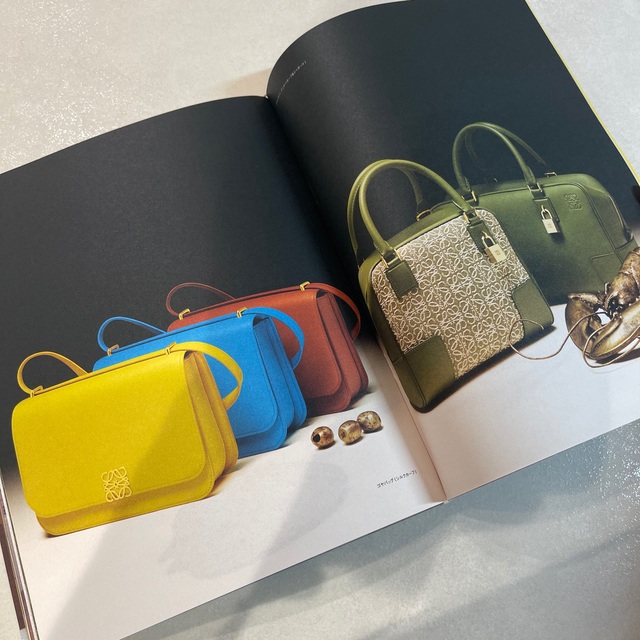 LOEWE(ロエベ)のロエベ　カタログ　2021/秋冬　シール付き エンタメ/ホビーの雑誌(ファッション)の商品写真