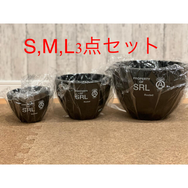 Neighborhood SRL ROUND S M L 3点 鉢 PLANT