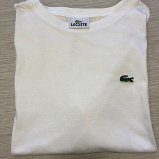 ラコステ(LACOSTE)のラコステTシャツ(Tシャツ/カットソー(半袖/袖なし))
