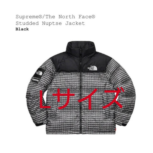 Supreme/The North Face Studded Nuptse