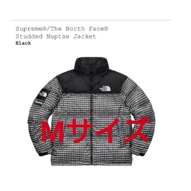 Supreme/The North Face Studded Nuptse