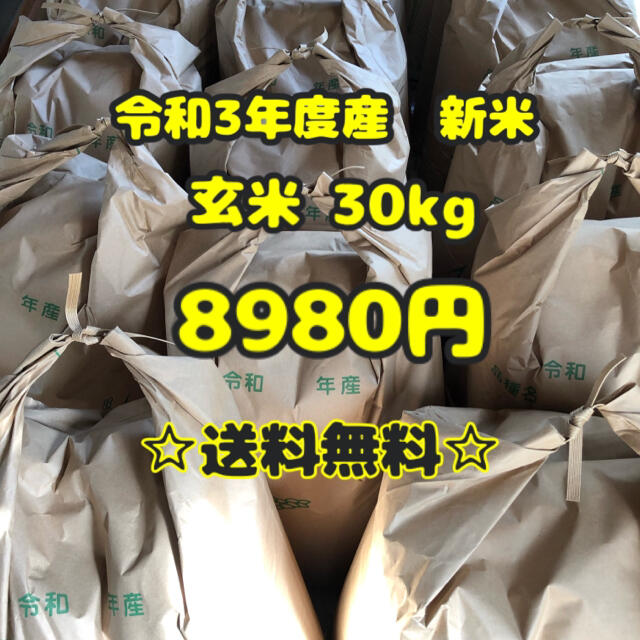 愛媛県産ヒノヒカリ玄米30kg　米/穀物