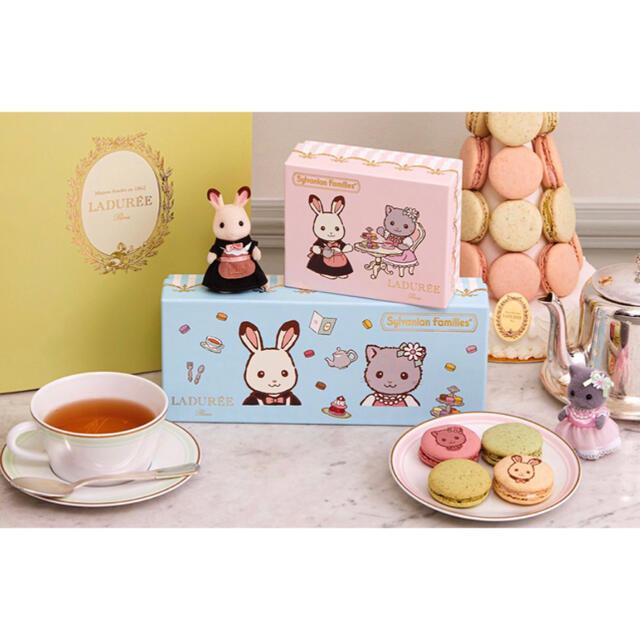 LADUREE - 限定品 LADUREE ラデュレ マカロンボックス 2箱の通販 by