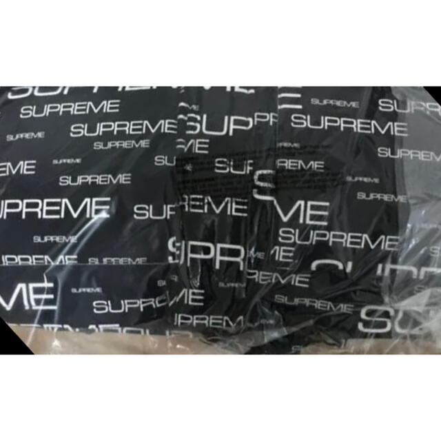 Supreme(シュプリーム)のSup TNF Coldworks 700-Fill Down Parka L メンズのジャケット/アウター(ダウンジャケット)の商品写真