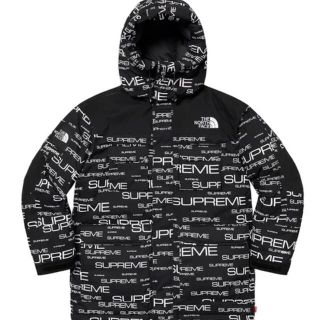 シュプリーム(Supreme)のSup TNF Coldworks 700-Fill Down Parka L(ダウンジャケット)