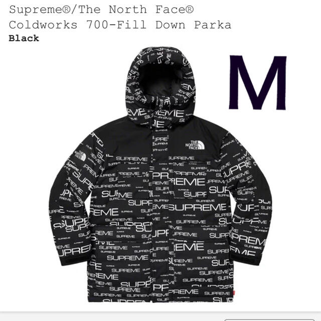 supreme the north face ダウン