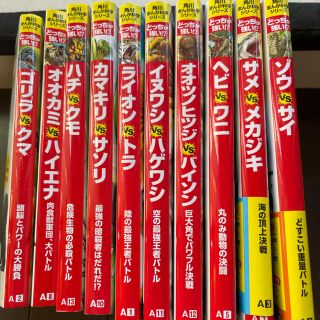 カドカワショテン(角川書店)のどっちが強い！？　シリーズセット売り10巻(その他)