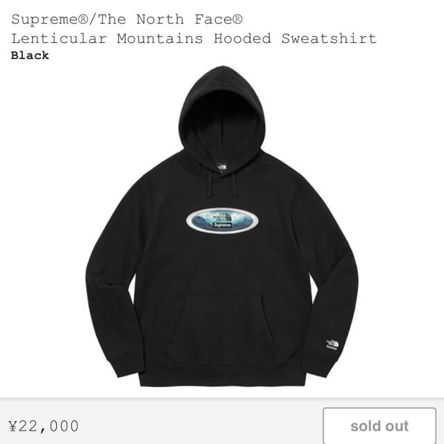 Supreme The North Face Hooded Sweatshirt