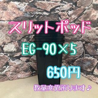 ◎5個◎ロング スリットポット EG-90L slitpot プラ鉢(プランター)