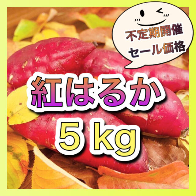 さつまいも『紅はるか』5kg 食品/飲料/酒の食品(野菜)の商品写真