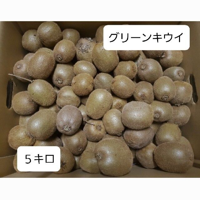 熊本県産　グリーンキウイ　5キロ　値下 食品/飲料/酒の食品(フルーツ)の商品写真