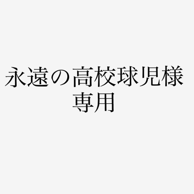 ニンテンドー3DS - Nintendo3DSLL