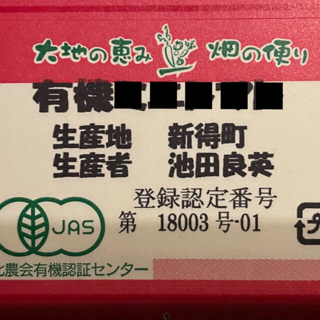 北海道産有機人参　5キロ 食品/飲料/酒の食品(野菜)の商品写真