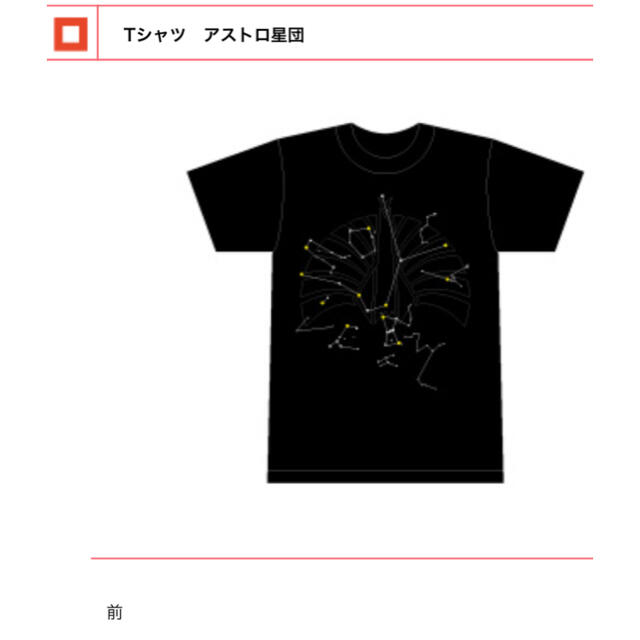 【中古良品】東京事変　live tour 2011 Discovery Tシャツ エンタメ/ホビーのタレントグッズ(ミュージシャン)の商品写真