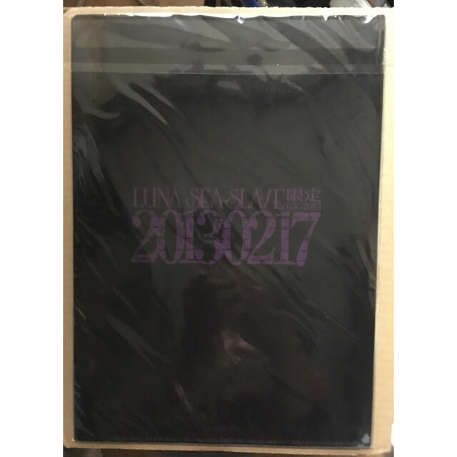 ★ LUNA SEA 2013年のクリアファイル エンタメ/ホビーのタレントグッズ(ミュージシャン)の商品写真