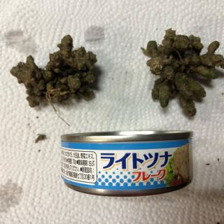 雲南百薬（ムカゴ）(ビタミン)