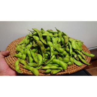 兵庫県丹波産　黒大豆枝豆　さや1キロ(野菜)