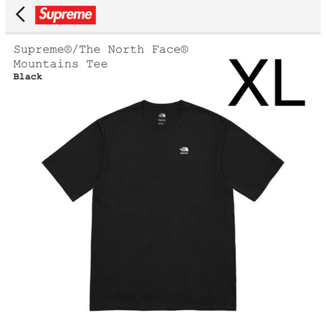 Supreme The North Face Mountains Tee XL