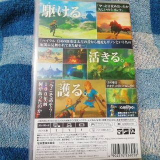 ゼルダの伝説 ブレス オブ ザ ワイルド Switchパッケージ(携帯用ゲームソフト)