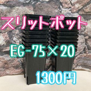 ◎20個◎ロング スリットポット EG-75L slitpot プラ鉢(プランター)