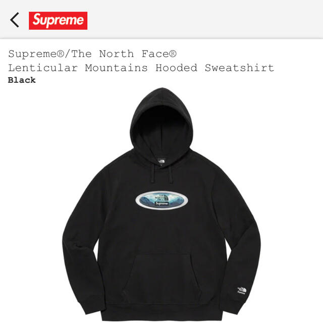 Supreme The North Face Hooded Sweatshirt