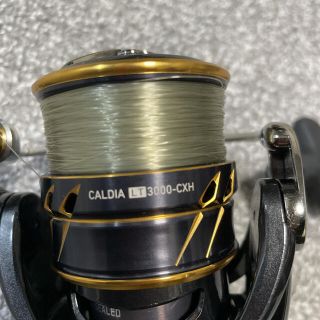 ダイワ(DAIWA)のダイワ カルディア LT3000-CXH [2021年モデル](リール)