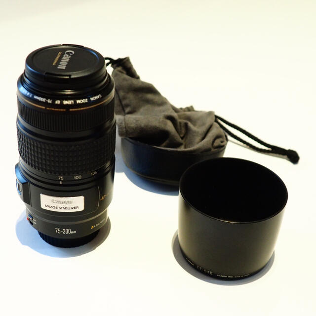 キャノン EF70-300mm F4-5.6 IS USM 大勧め 5425円引き noxcapital.de