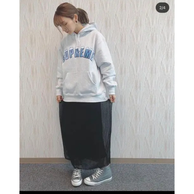 supreme Icy Arc Hooded Sweatshirt グレー 正規激安 www.cecile-roger.com