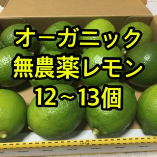 オーガニック　無農薬レモン　12個(その他)