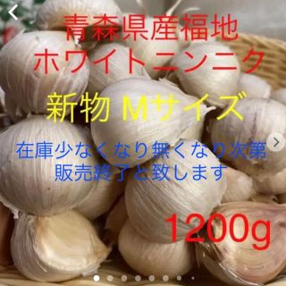 新物 青森県産福地ホワイトニンニク Mサイズ1200g (野菜)