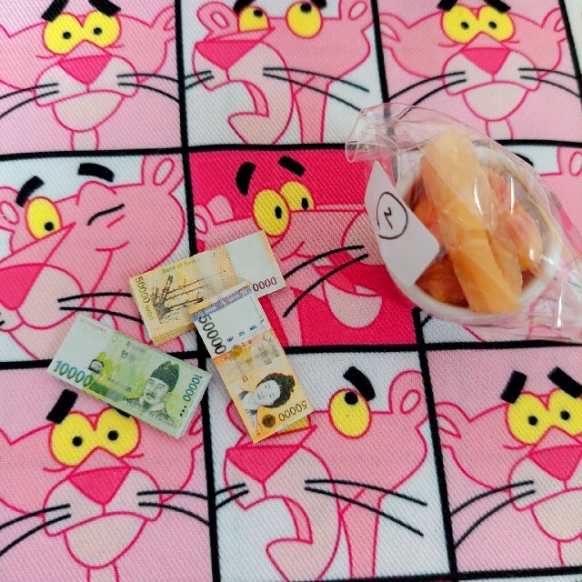 ニック様専用ページ csm.fi.cr